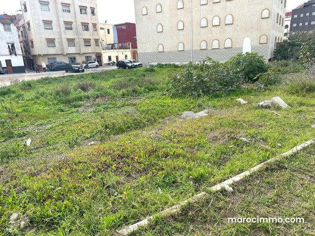 Terrain à vendre 1 500 m² Azib Haj Kaddour Tanger — 4