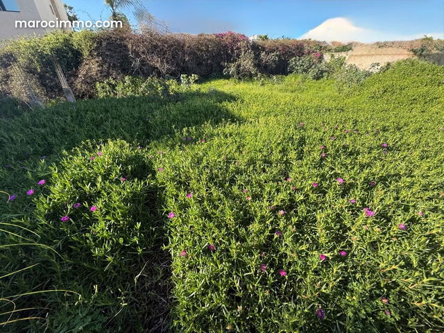 Vente d’un terrain pour villa sur harhoura — Temara