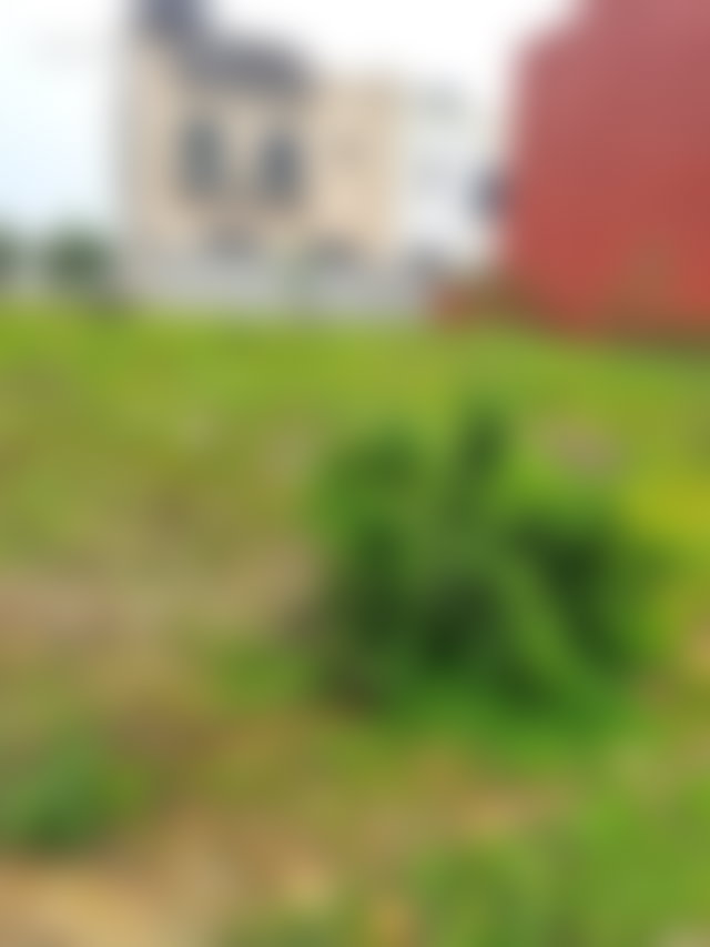 200 m² Plot in Dar Bouazza for a Villa or Investment — 2