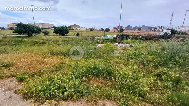 LOTISSEMENT AL ANAKA Terrain à vendre 300 m² Route Immouzer Fès — 2