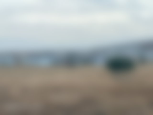 Titled 4-hectare land in Moulay Yaâcoub, Fès Province — 2