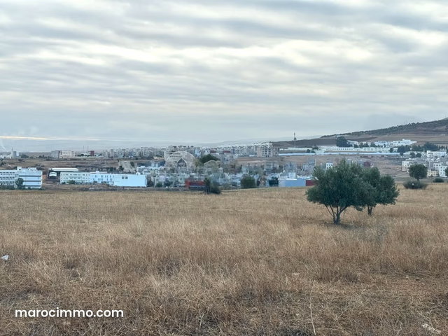 Land for Sale 40,000 m² Other Moulay Yacoub — 2