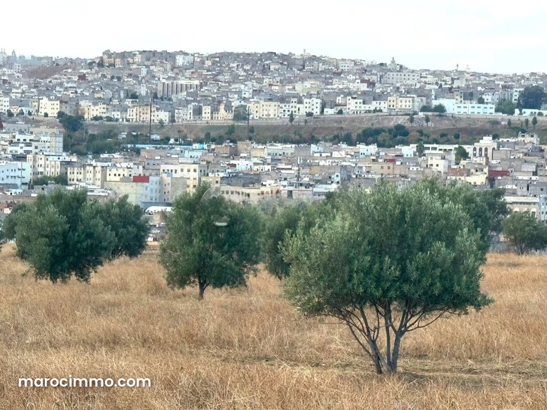 Titled 4-hectare land in Moulay Yaâcoub, Fès Province — Moulay Yaacoub