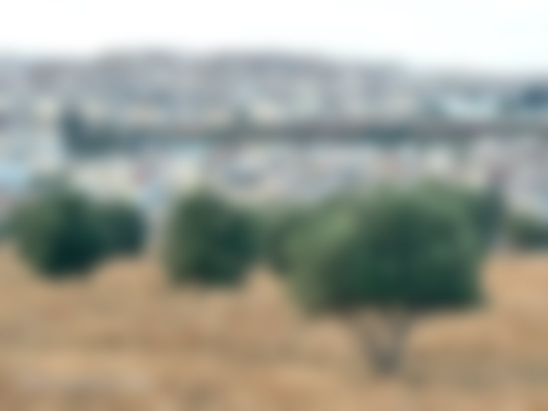 Titled 4-hectare land in Moulay Yaâcoub, Fès Province