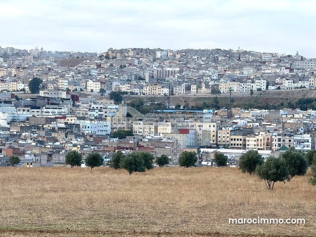 Land for Sale 40,000 m² Other Moulay Yacoub — 3