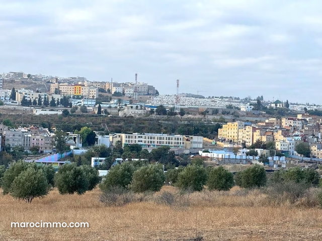 Land for Sale 40,000 m² Other Moulay Yacoub — 4