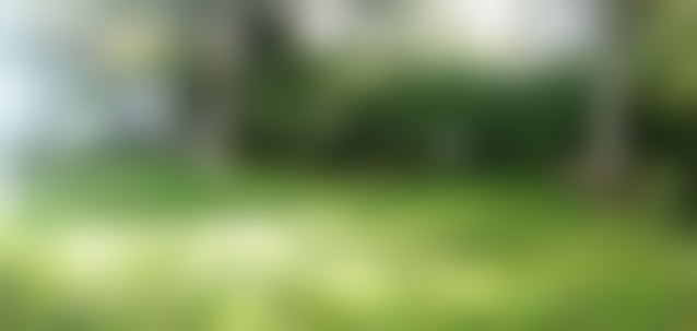 فيلا رحبة وحديقة وارفة في قلب حي راسين بالدار البيضاء — الدار البيضاء