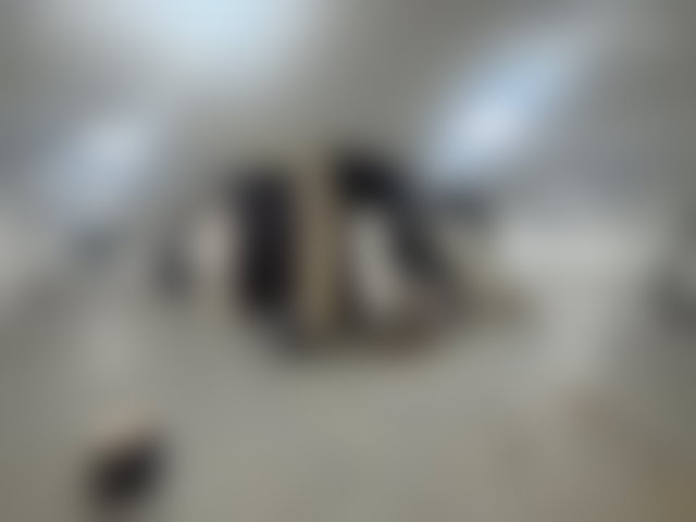 مقر تجاري راقٍ للبيع بحي غوتيي في الدار البيضاء — 5