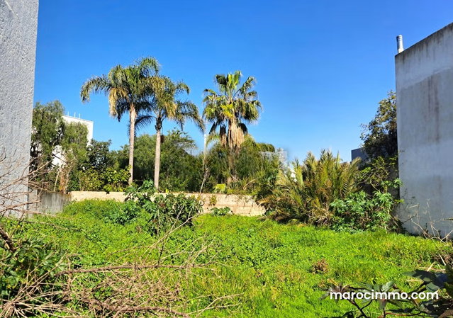 Terrain à vendre 403 m² CIL Casablanca — 3