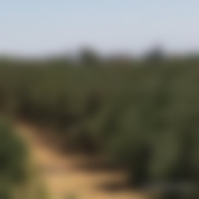 ضيعة 4.5 هكتار للبيع بطريق فاس مراكش — 2