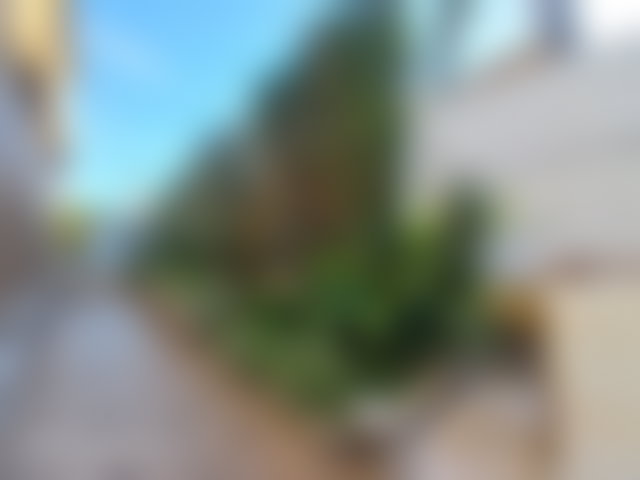 Villa 900 m² avec piscine et jardin, Riyad, Rabat — 4