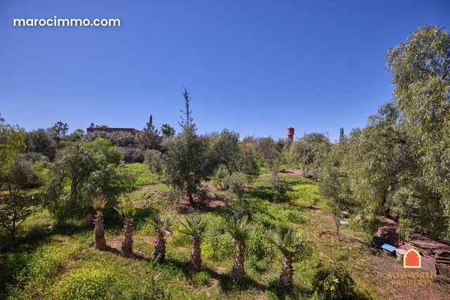 Terrain titré de 2,8 hectares et villa à Marrakech — 5