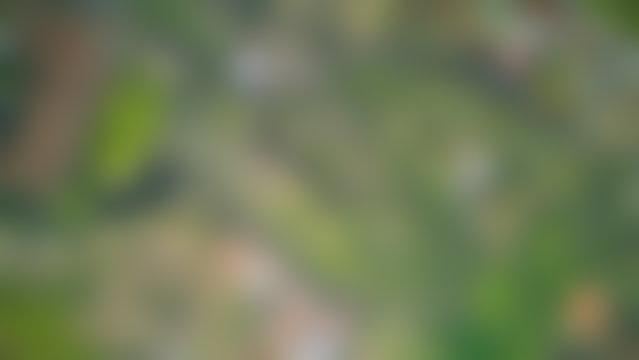 أرض 2.8 هكتار مع فيلا مطلة على الأطلس بطريق أوريكة في مراكش — 2