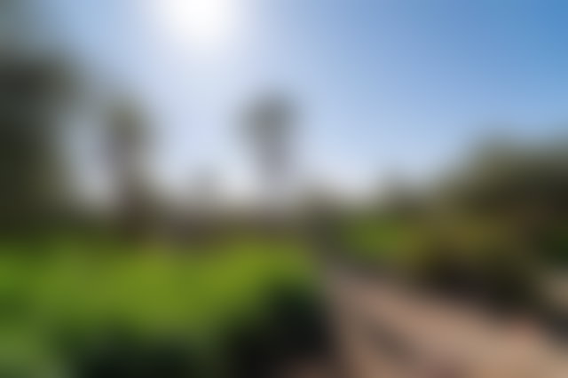 37,500 m² Plot in the Palmeraie, Marrakech, with Registered Title Deed — 3