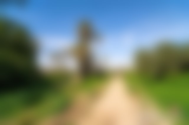 37,500 m² Plot in the Palmeraie, Marrakech, with Registered Title Deed — 2