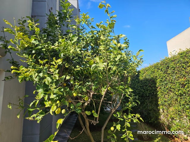 Luxurious House for Sale in Victoria. 4 Bedrooms. Quiet Environment with Mountain View, Central Heating — 4