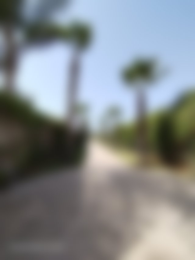 2,000 sqm villa with swimming pool and garden, Souissi, Rabat — 4