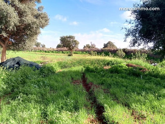 Terrain à vendre 4 414 m² Lqliaa Inezgane Ait Melloul — 5