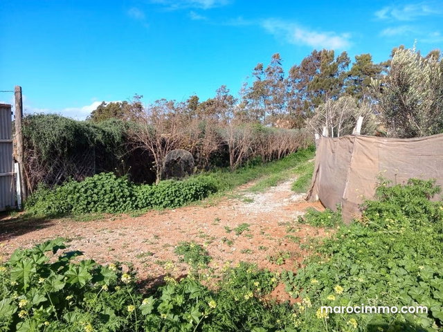 Terrain à vendre 4 414 m² Lqliaa Inezgane Ait Melloul — 4