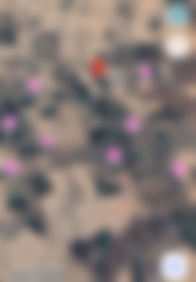 Oliveraie 2,5 ha, Route d'Ourika, Marrakech — Marrakech