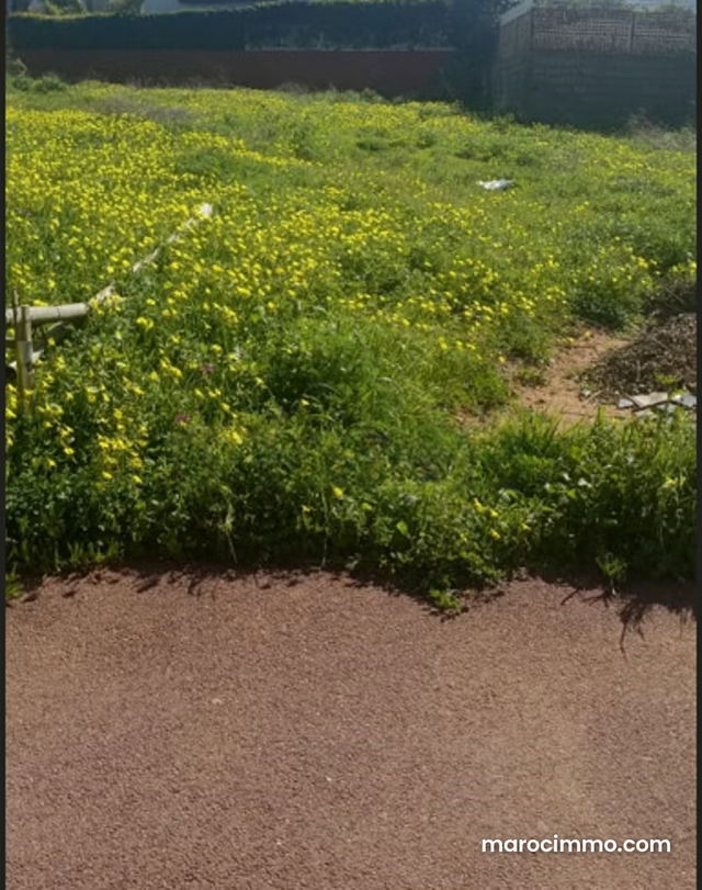 Lot de Terrain pour Villa – Hay Riad, Secteur 14 — Rabat