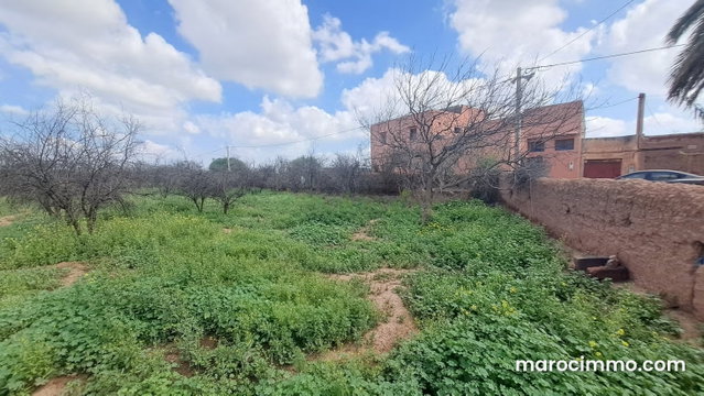 Terrain agricole a vendre — 4