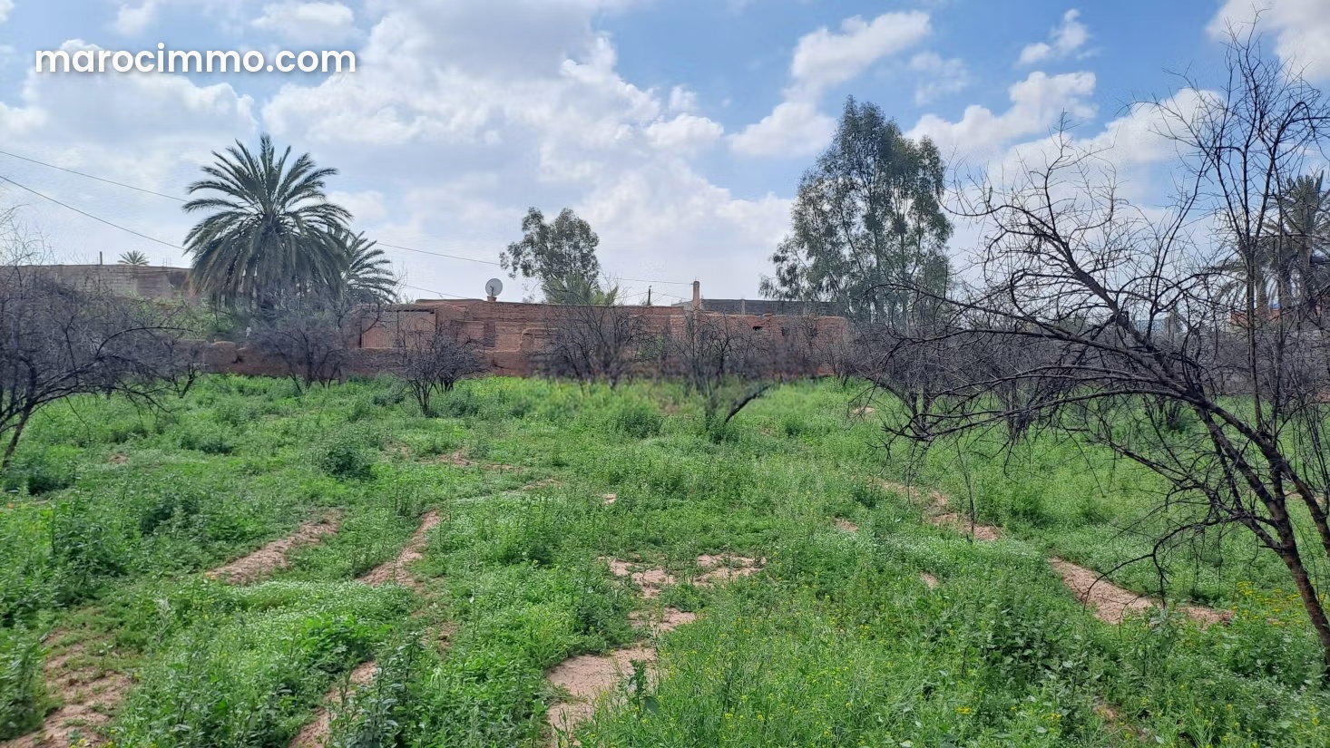 2,000 m² South-Facing Land Plot on the Casablanca Road, Marrakech — Marrakesh