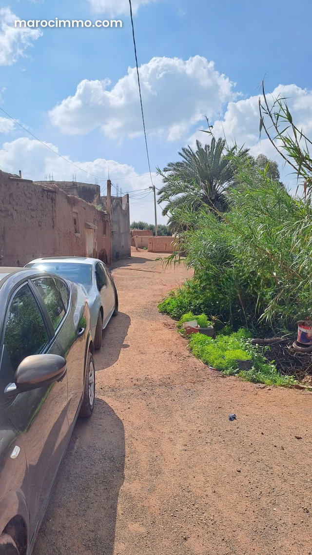 Terrain agricole a vendre — 5