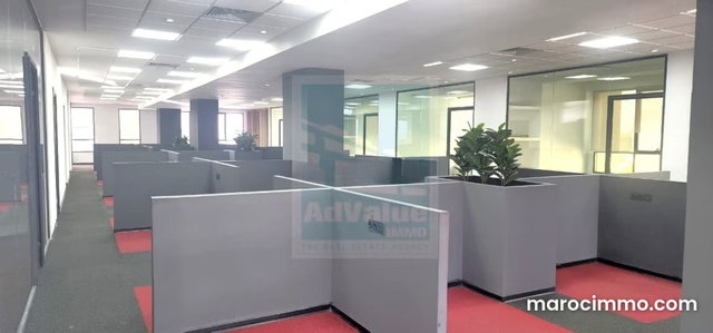 DL. 1013: Office at Boulevard Zoulikha Nacir — 2