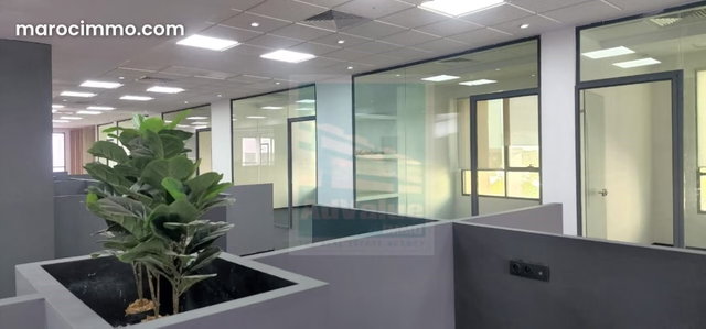 DL. 1013: Office at Boulevard Zoulikha Nacir — 4