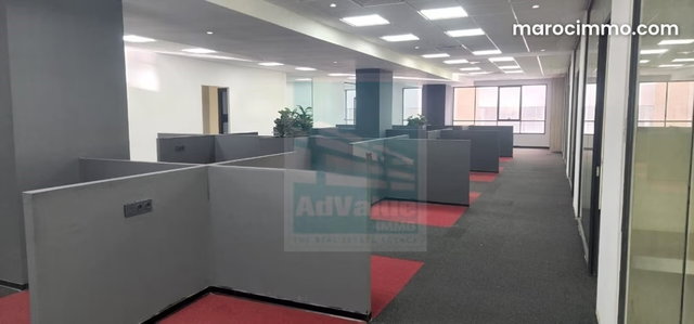 DL. 1013: Office at Boulevard Zoulikha Nacir — 3