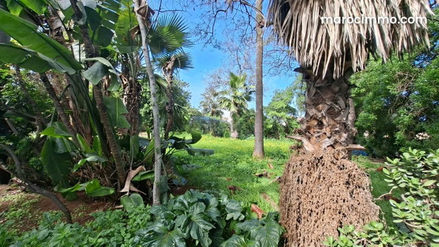 Villa 2108 m² à retaper plein sud calme — 2