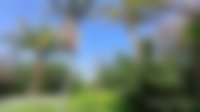 Villa 650 m² avec piscine, Californie, Casablanca — 3