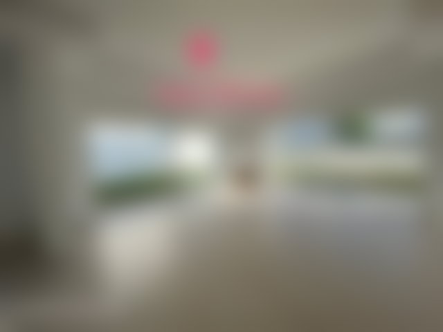 فيلا فسيحة بحديقة وشرفات في المنزه — 2