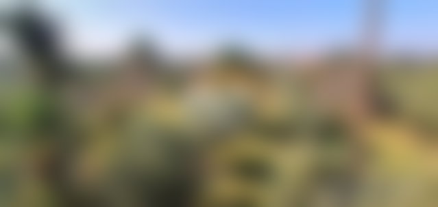 فيلا فاخرة وسط غابة نخيل على طريق فاس بمراكش — 2