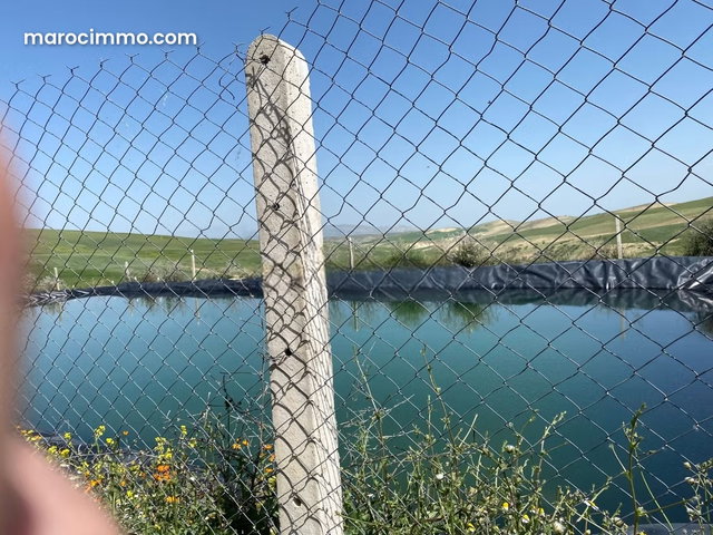 Agréable ferme à vendre à Ain Bida. Superficie 860000 m² — 5