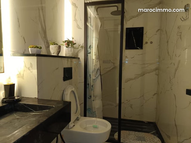 Très bel appartement en location à Palmier. 1 Pièce. Meublé — 2