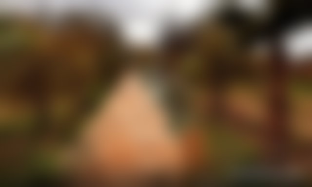 ضيعة خضراء للبيع بسيدي عبد الله غيات مراكش — 5