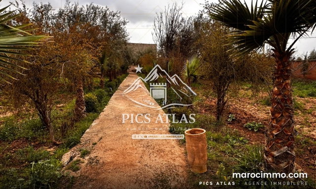Ferme à vendre – Sidi Abdellah Ghiat – KM 25 – Marrakech — 5