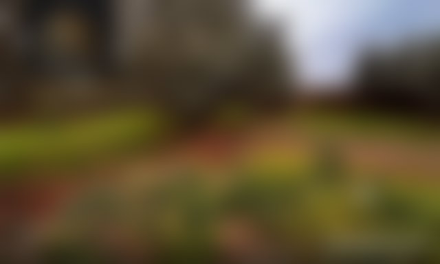 ضيعة خضراء للبيع بسيدي عبد الله غيات مراكش — 2