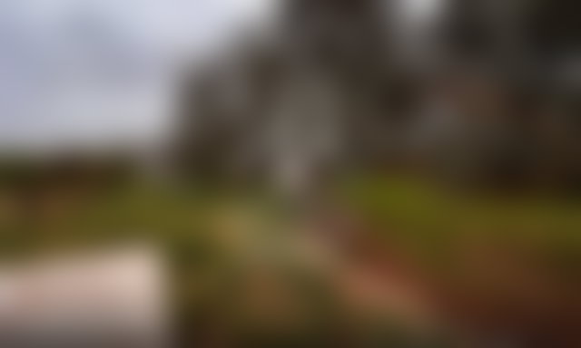 ضيعة خضراء للبيع بسيدي عبد الله غيات مراكش — 3