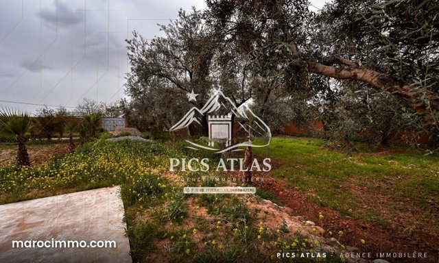Ferme à vendre – Sidi Abdellah Ghiat – KM 25 – Marrakech — 3