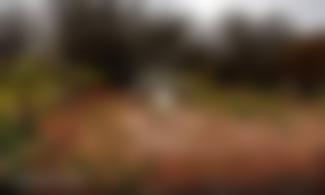 ضيعة خضراء للبيع بسيدي عبد الله غيات مراكش — 4