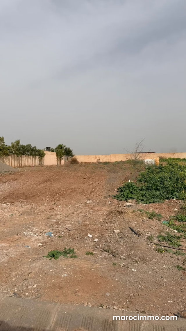 Terrain 600 m2 3 façades Golf d'Argan — 2