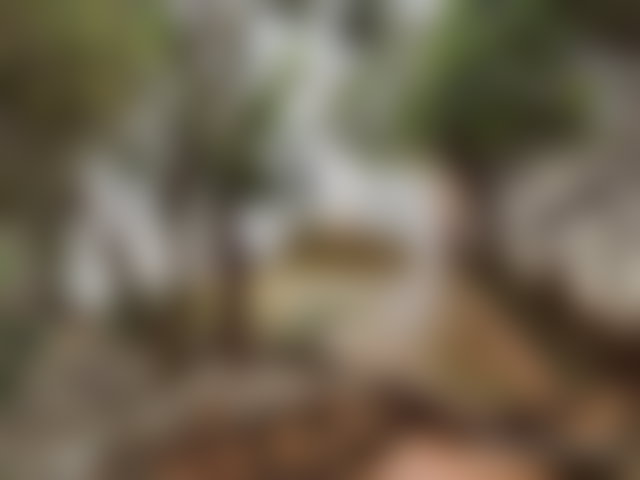Villa 4 chambres avec jardin, Aïn Diab, Casablanca — 3