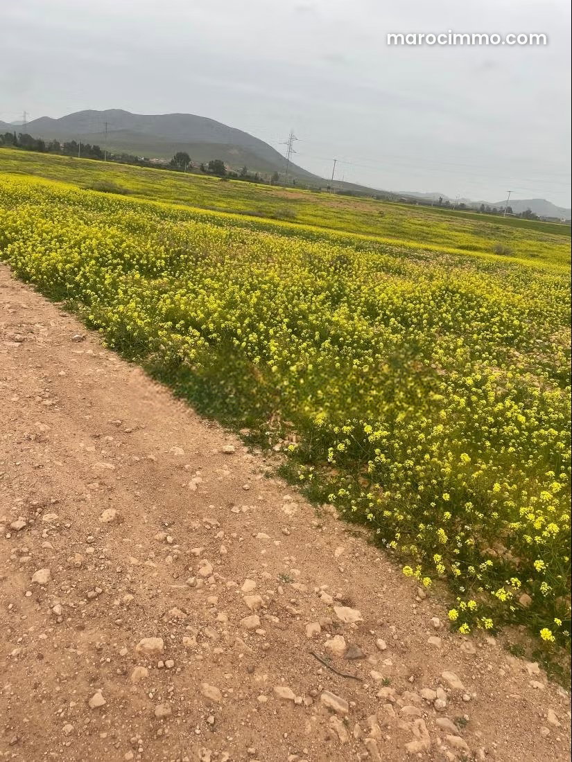 Land for Sale on Casablanca Road, Marrakech – 12,000 m² Investment Opportunity — Marrakesh