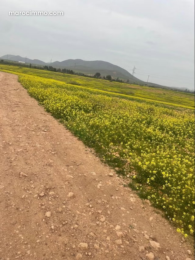 Beau terrain à la vente à Route Casablanca. Superficie 12000 m² — 3