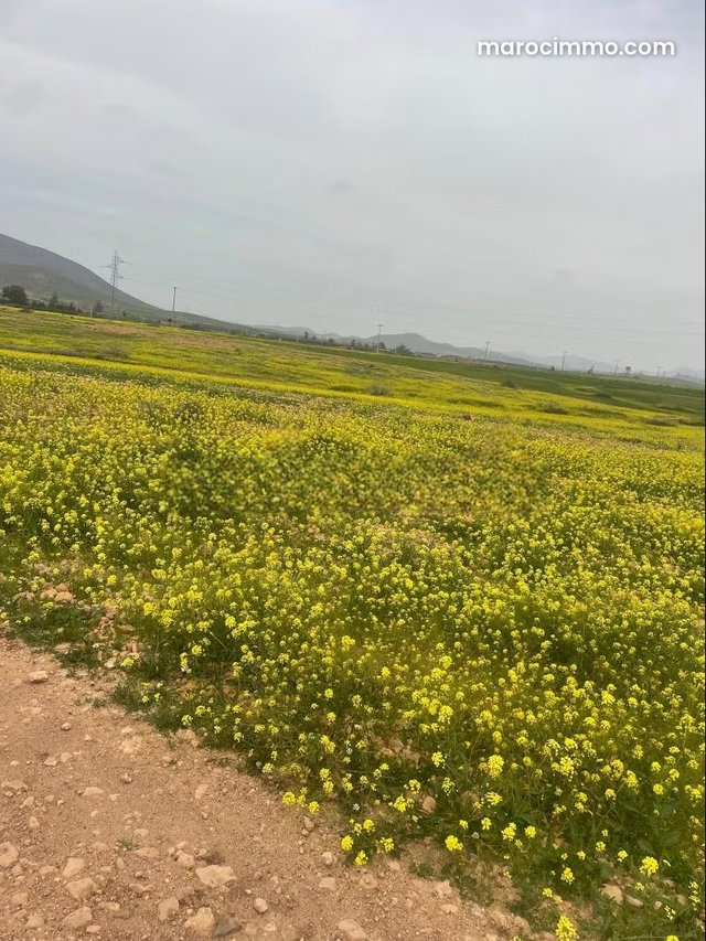 Beau terrain à la vente à Route Casablanca. Superficie 12000 m² — 4