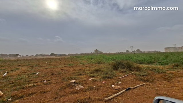 Terrain 11258 m² zone D2S pour villas R1 — 2