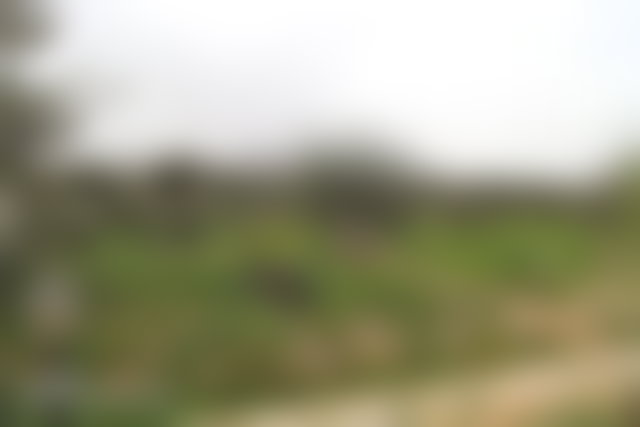 منزل بحديقة ومسبح على مشارف تزنيت — 2